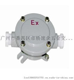 BHD51防爆接线盒 安全连接的工业守护者
